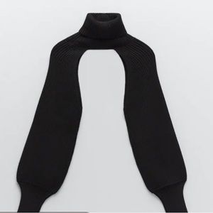 Black turtle neck sleeve (Zara)